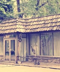 Ресторан Зеленый Попугай